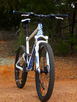 Front view of 2010 Giant Anthem X3